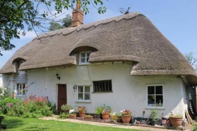 Entire Thatched Cottage Melbourn Eksteriør bilde